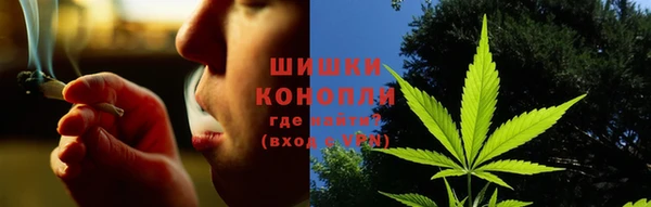 молекула духа Белоозёрский